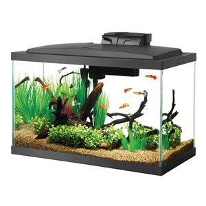 Aqueon LED 10 Gallon Aquarium Kit