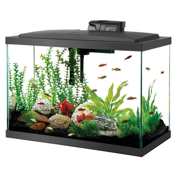 Aqueon LED 20 Gallon Aquarium Kit