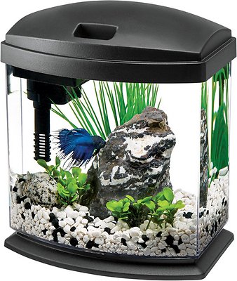 Aqueon LED 5 Gallon Mini Bow Kit
