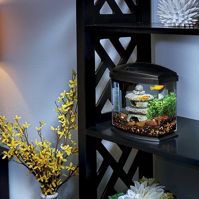 Aqueon LED 5 Gallon Mini Bow Kit