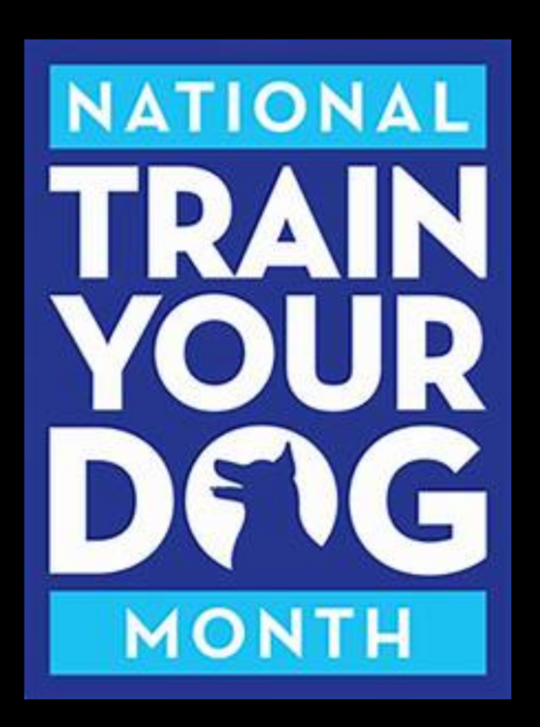 January Is National Train Your Dog Month