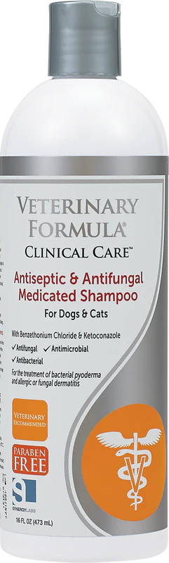 Synergy Labs Antiseptic & Antifungal Medicated Shampoo