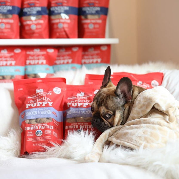 Stella & Chewy's Perfectly Puppy Chicken & Salmon Freeze-Dried Raw Dinner Patties
