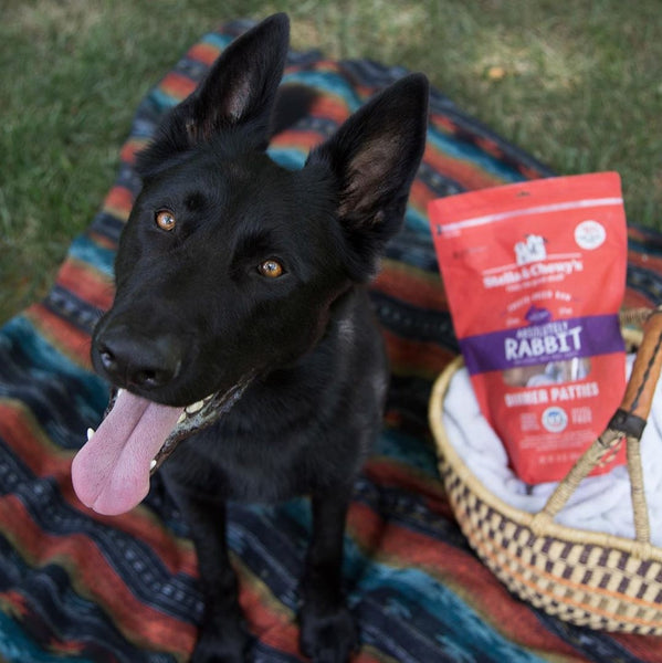 Stella & Chewy's Absolutely Rabbit Freeze-Dried Raw Dinner Patties