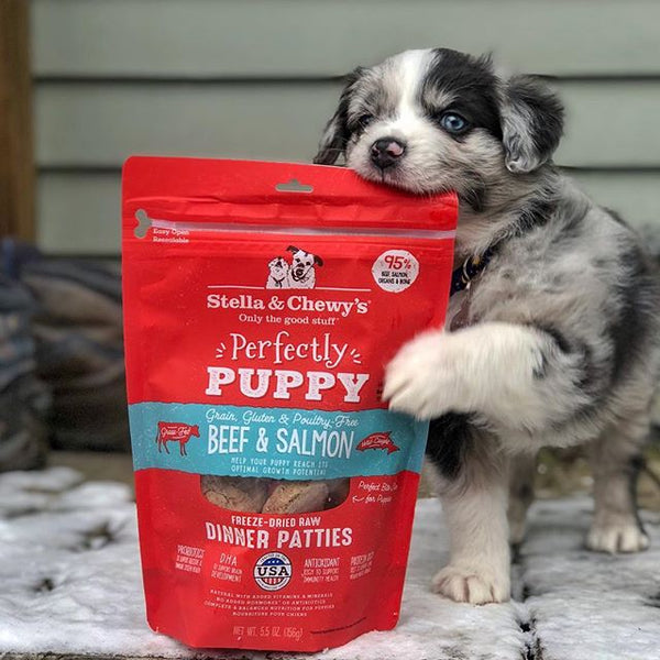 Stella & Chewy's Perfectly Puppy Beef & Salmon Freeze-Dried Raw Dinner Patties
