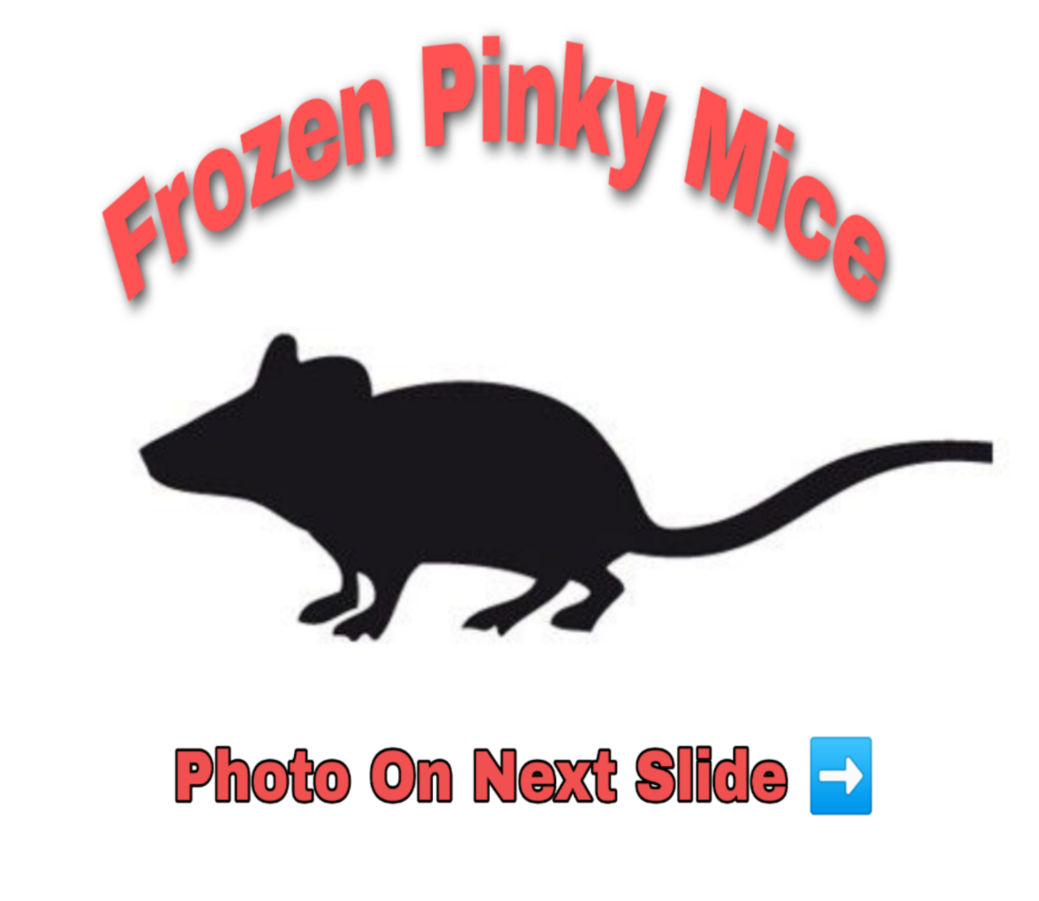 Frozen Pinky Mice