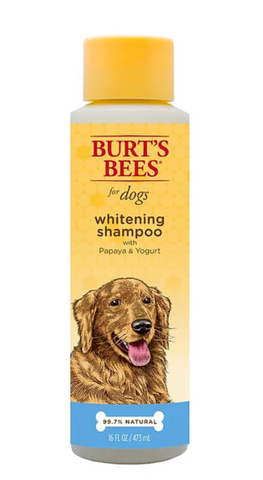 Burt's Bees Whitening Shampoo
With Papaya & Yogurt